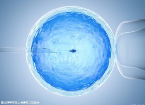 王医生